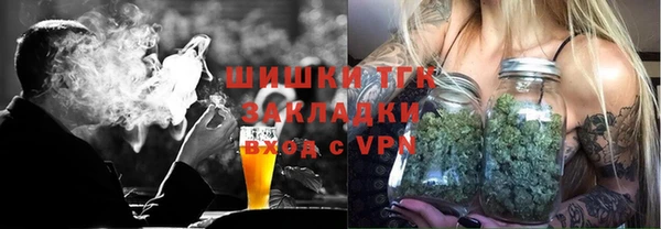 молекула духа Няндома
