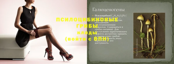 молекула духа Няндома