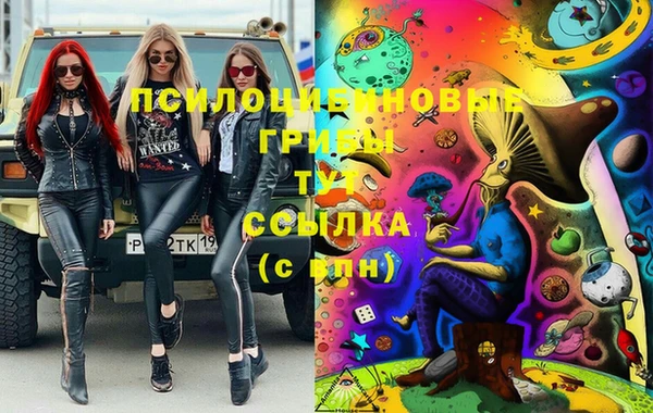 молекула духа Няндома