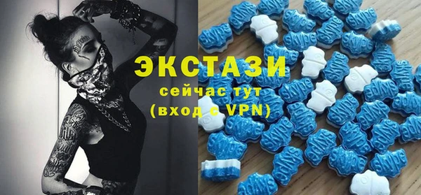 стаф Осинники
