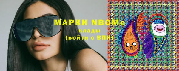 молекула духа Няндома