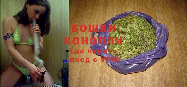 молекула духа Няндома