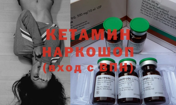 стаф Осинники