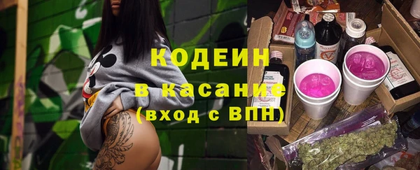 стаф Осинники