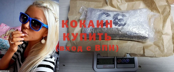 стаф Осинники
