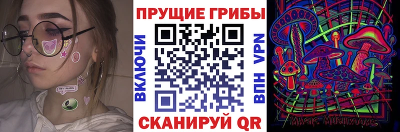 где можно купить наркотик  Клинцы  Псилоцибиновые грибы мухоморы 