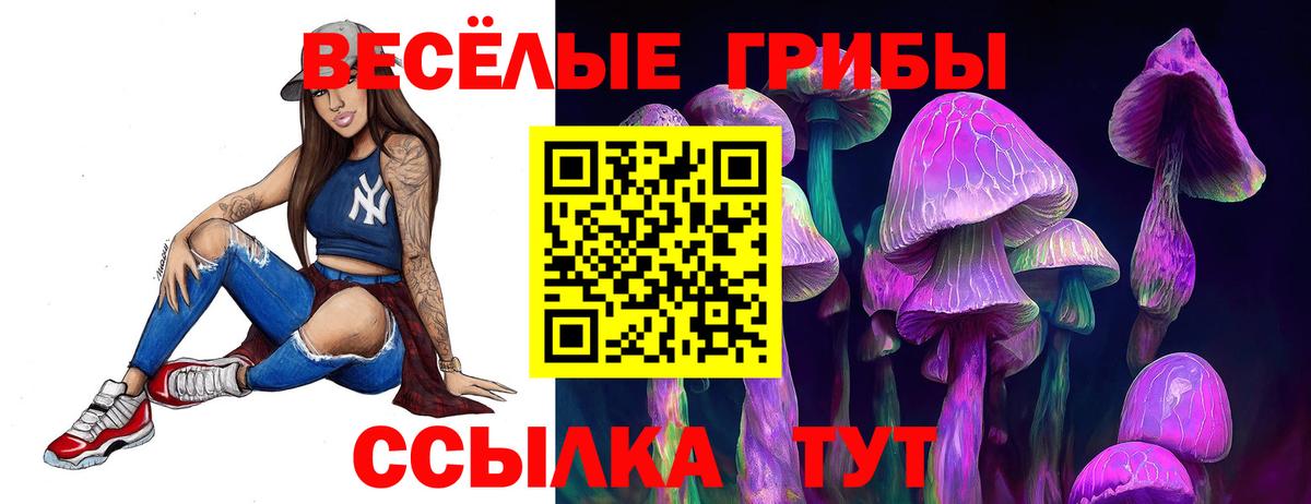 Псилоцибиновые грибы мухоморы  Вход с VPN  Клинцы 